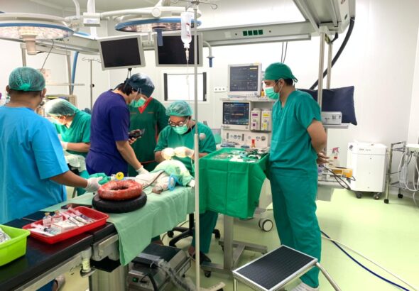 WhatsApp Image 2026-02-21 at 00.43.34