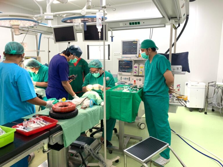 WhatsApp Image 2026-02-21 at 00.43.34